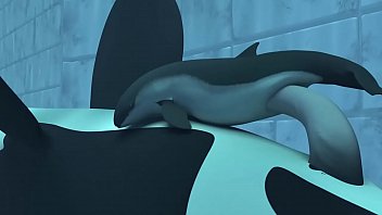 Orca yiff - tasuric №3