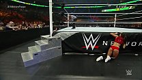 Nikki Bella vs Paige. Money in the Bank 2015.